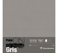 Χαρτί Mixed Media Paint`ON Gray 50x65cm 250g Clairefontaine