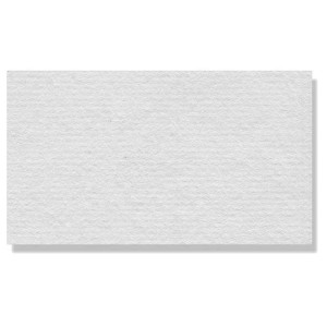 Χαρτί Ingres 50X65cm 100g Canson
