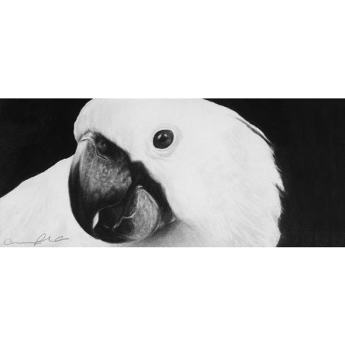 Σετ Pitt Charcoal 24τεμ 112978 Faber Castell Σετ Pitt Charcoal 24τεμ 112978 Faber Castell