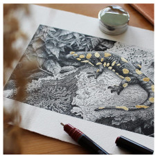 Ραπιδογράφος (με αμπούλα) 0.50mm Rotring