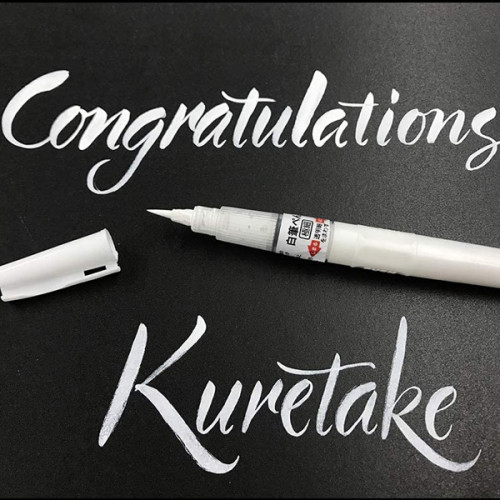 Μελάνι Ανταλλακτικό Για Brush Pen/Cartoonist White Zig Kuretake Μελάνι Ανταλλακτικό Για Brush Pen/Cartoonist White Zig Kuretake