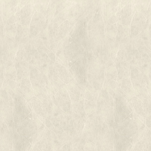 Ριζόχαρτο Μονόχρωμο 47X65cm 20gr Ivory