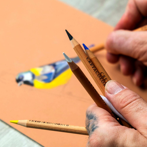 Σετ Μολύβια Fine Art Pastel 5 Χρώματα + Σφομύλι + Σβήστρα Cretacolor Σετ Μολύβια Fine Art Pastel 5 Χρώματα + Σφομύλι + Σβήστρα Cretacolor