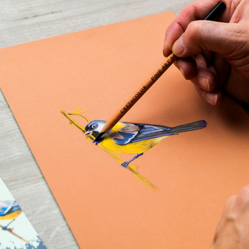 Σετ Μολύβια Fine Art Pastel 5 Χρώματα + Σφομύλι + Σβήστρα Cretacolor Σετ Μολύβια Fine Art Pastel 5 Χρώματα + Σφομύλι + Σβήστρα Cretacolor