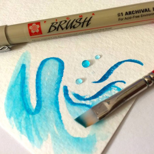 Pigma Brush Sakura Pigma Brush Sakura